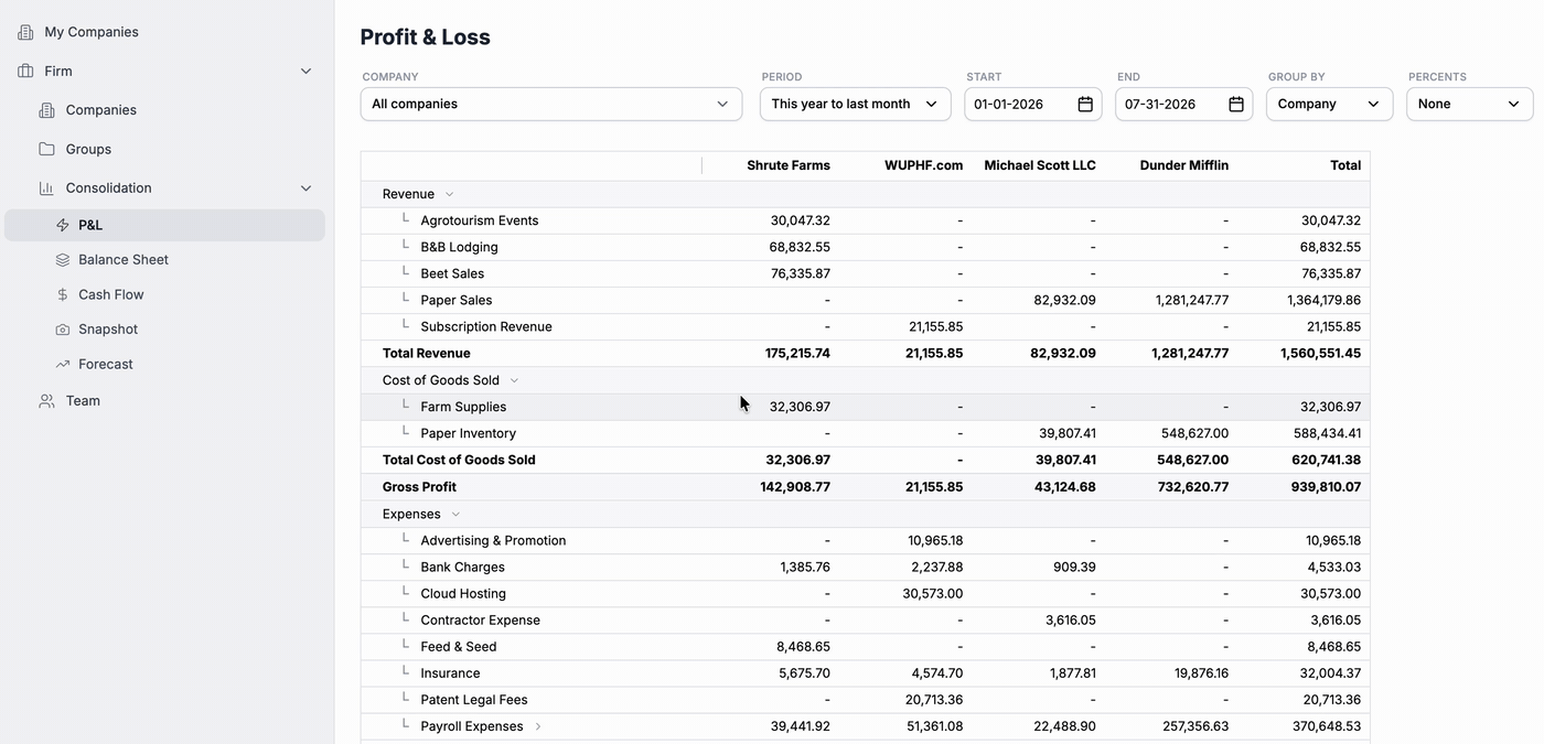 A consolidated Profit & Loss in switchbooks with each company in its own column beside the total